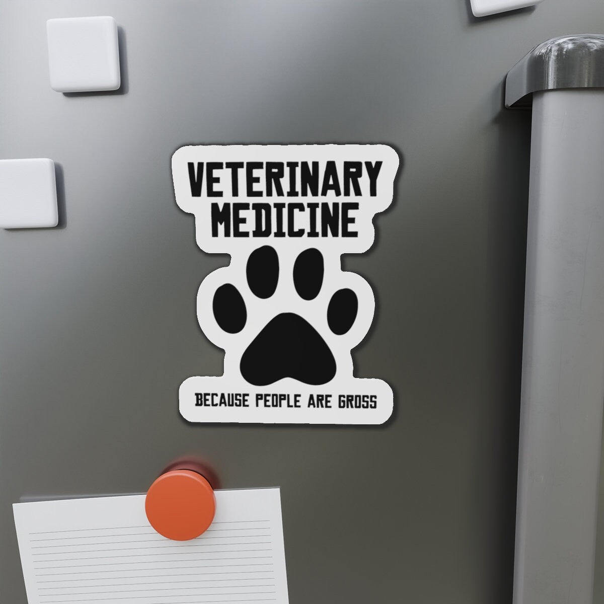 Veterinarian Medicine because people are gross Magnets